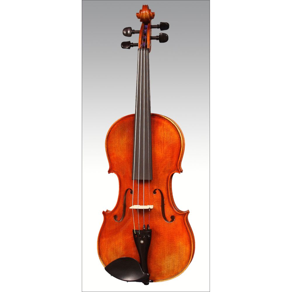 ARS MUSIC No.028 バイオリン 上位モデル 4/4 ARS 028 Violin Outfit, 4/4 – Strings, Bows & More