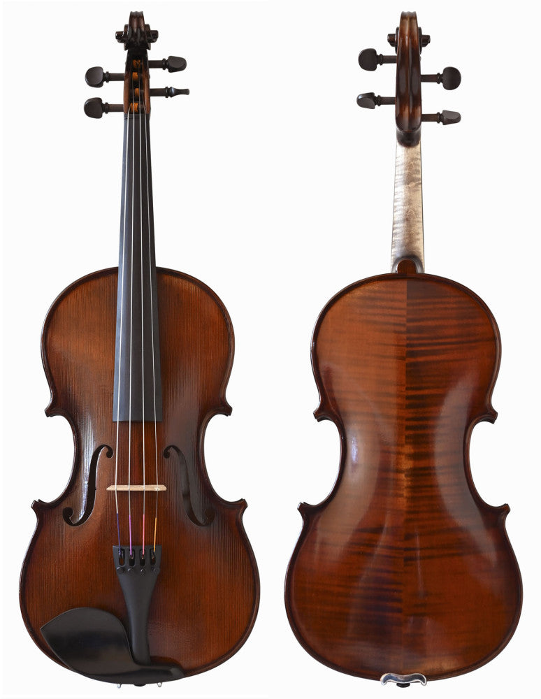 Brown viola - front and back