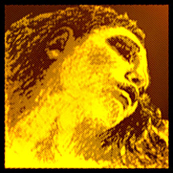 Evah Pirazzi Gold Violin Strings - 4/4 Strings, Bows & More