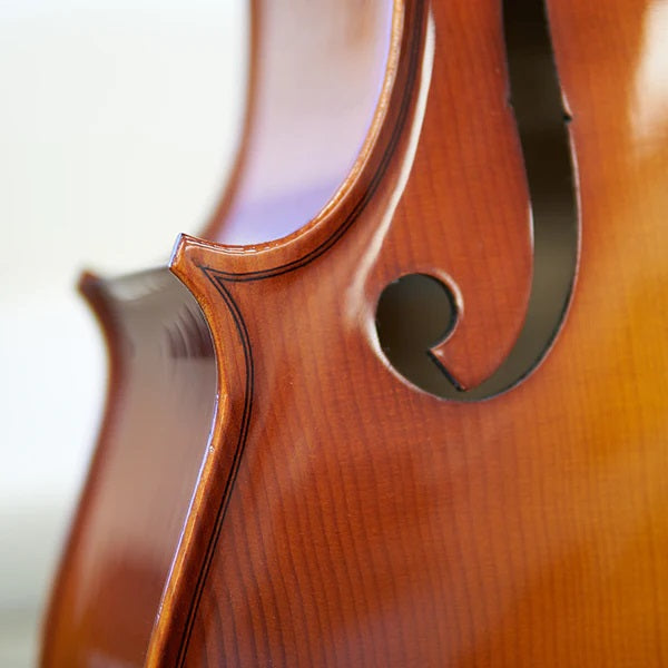 Hora "Rhapsody" Cello Outfit