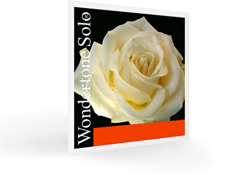 Pirastro Wondertone Solo Violin Strings, 4/4 Strings, Bows & More