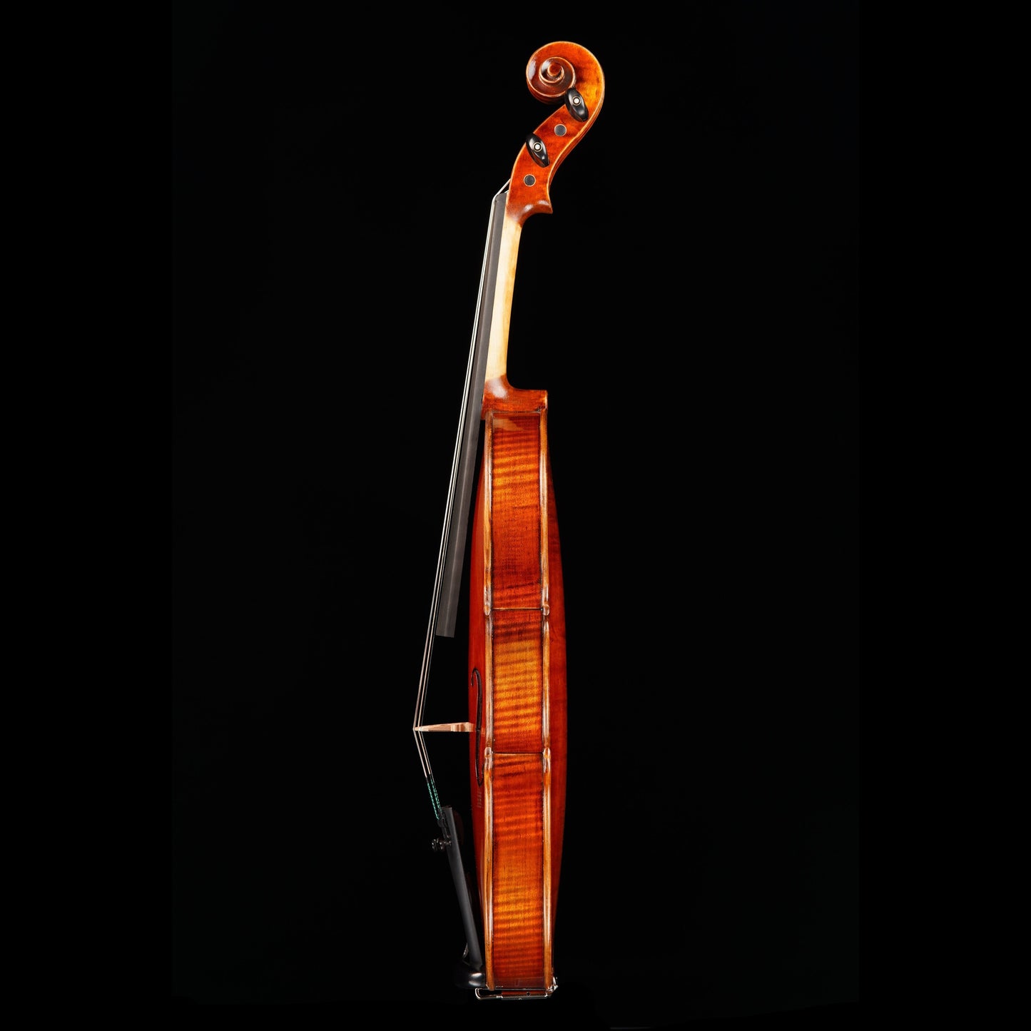 Vincenzo Bellini VB-101 Advanced Violin Outfit, 4/4 Strings, Bows & More