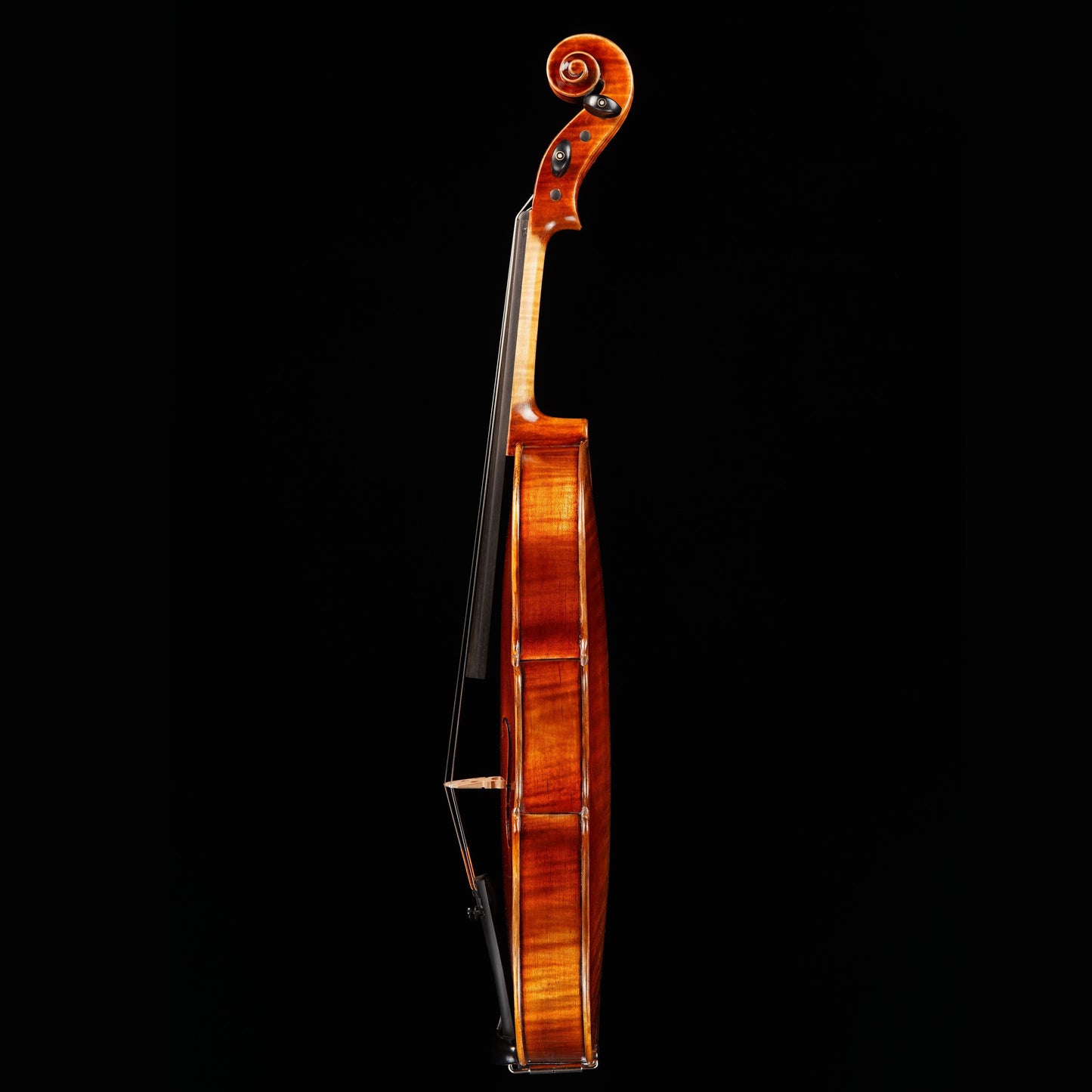Vincenzo Bellini VB-203 Viola Strings, Bows & More