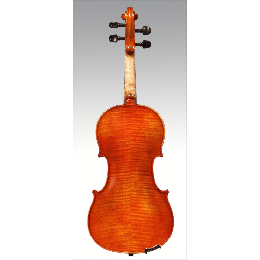 ARS 028 Violin Outfit, 4/4 – Strings, Bows & More ARS 028 Violin Outfit, 4/4 – Strings, Bows & More