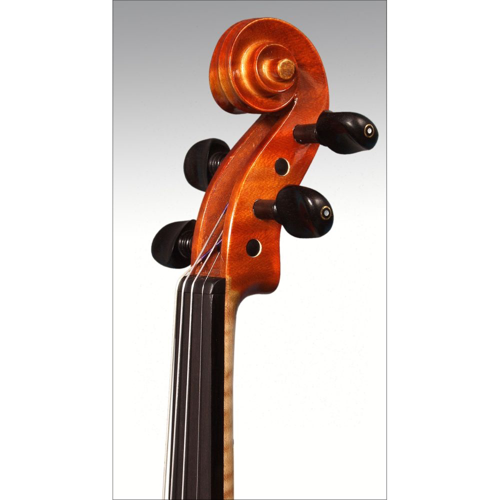 ARS 028 Violin Outfit, 4/4 Strings, Bows & More