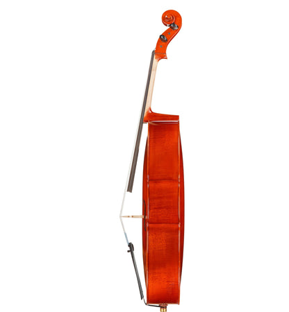 AS-300 Cello on white background - side view