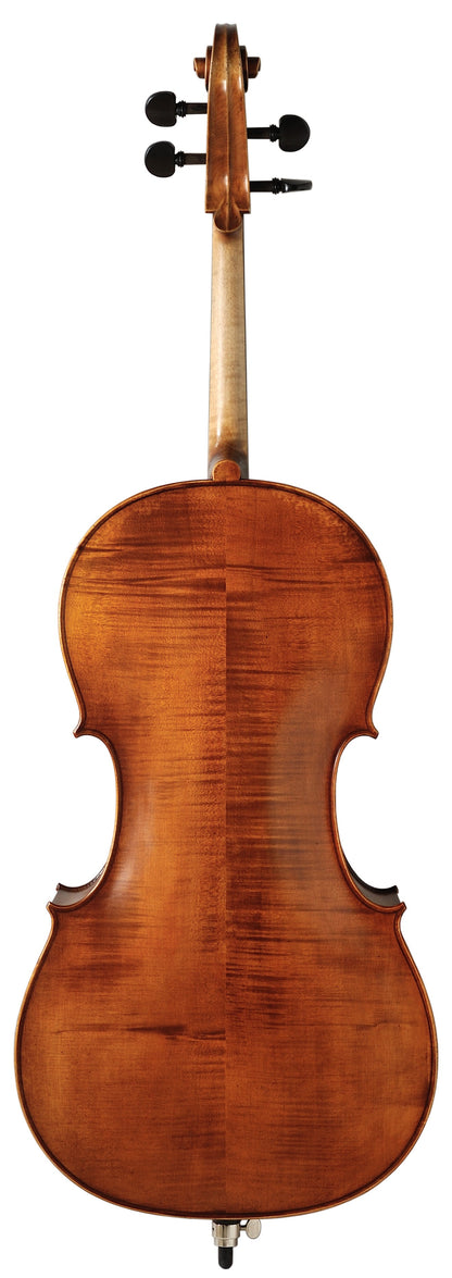 Ackert von Adorf Cello, golden-brown Strings, Bows & More