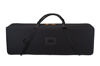 Black violin case