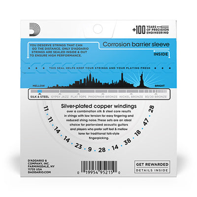 D'Addario guitar string set packaging with a blue label and white background