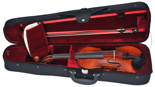 Eastman 105V 5-string Violin Outfit, 4/4 Strings, Bows & More