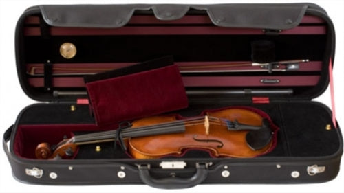 Eastman 305 Violin Outfit, 4/4 Strings, Bows & More