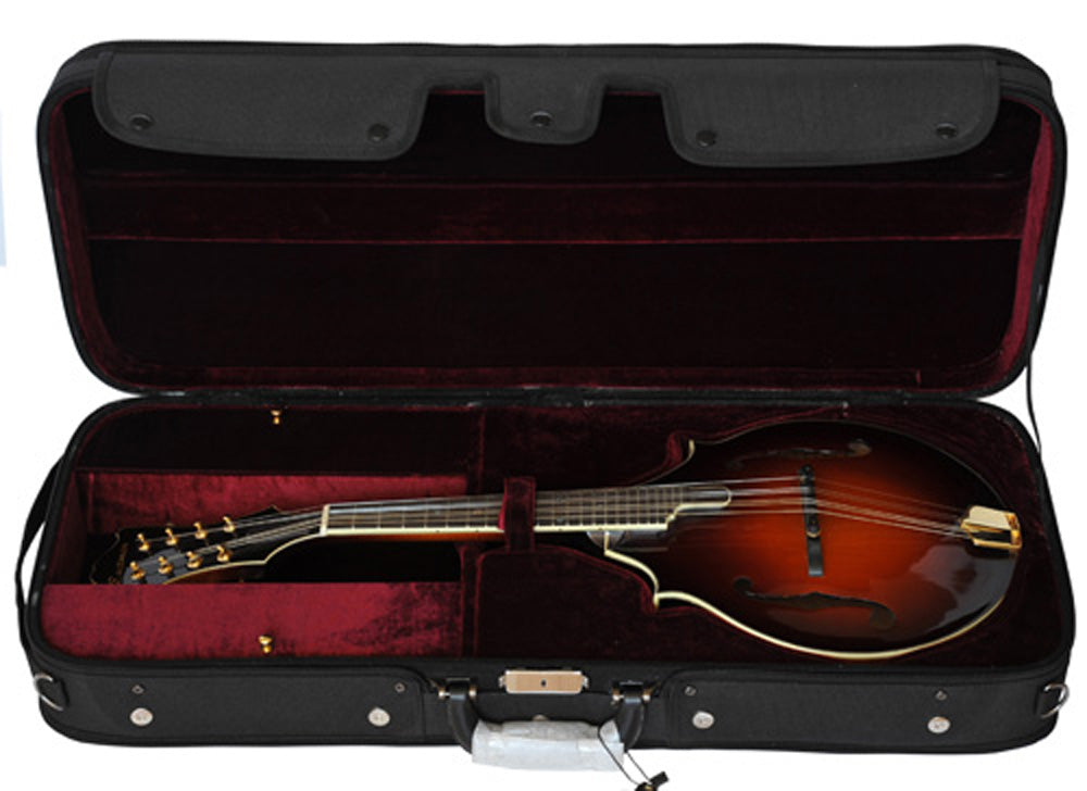 Eastman Mandolin, A-style, f-holes, Sunburst Lacquer Strings, Bows & More