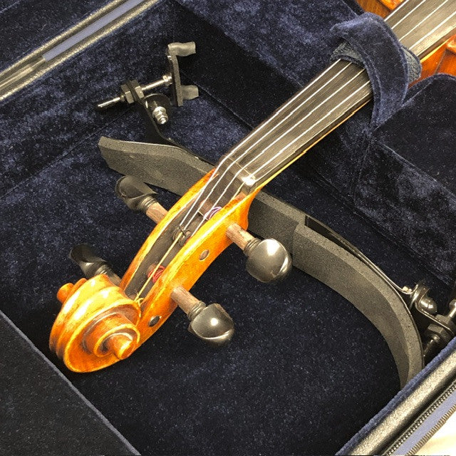 Explorer Oblong Viola Case