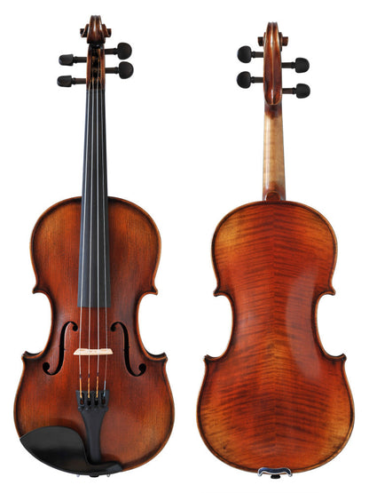 Violin - front and back view
