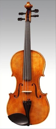Harald Lorenz HL4 Violin Outfit, 4/4 Strings, Bows & More