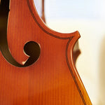 Hora "Rhapsody" Laminate Cello Outfit - 4/4, 3/4