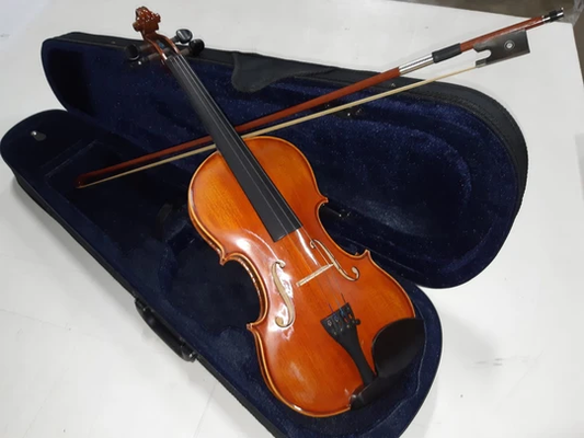 Left Handed Violin Outfit