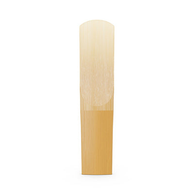 Bamboo reed on a white background