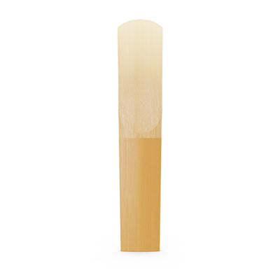 Wooden reed for wind instruments on a white background