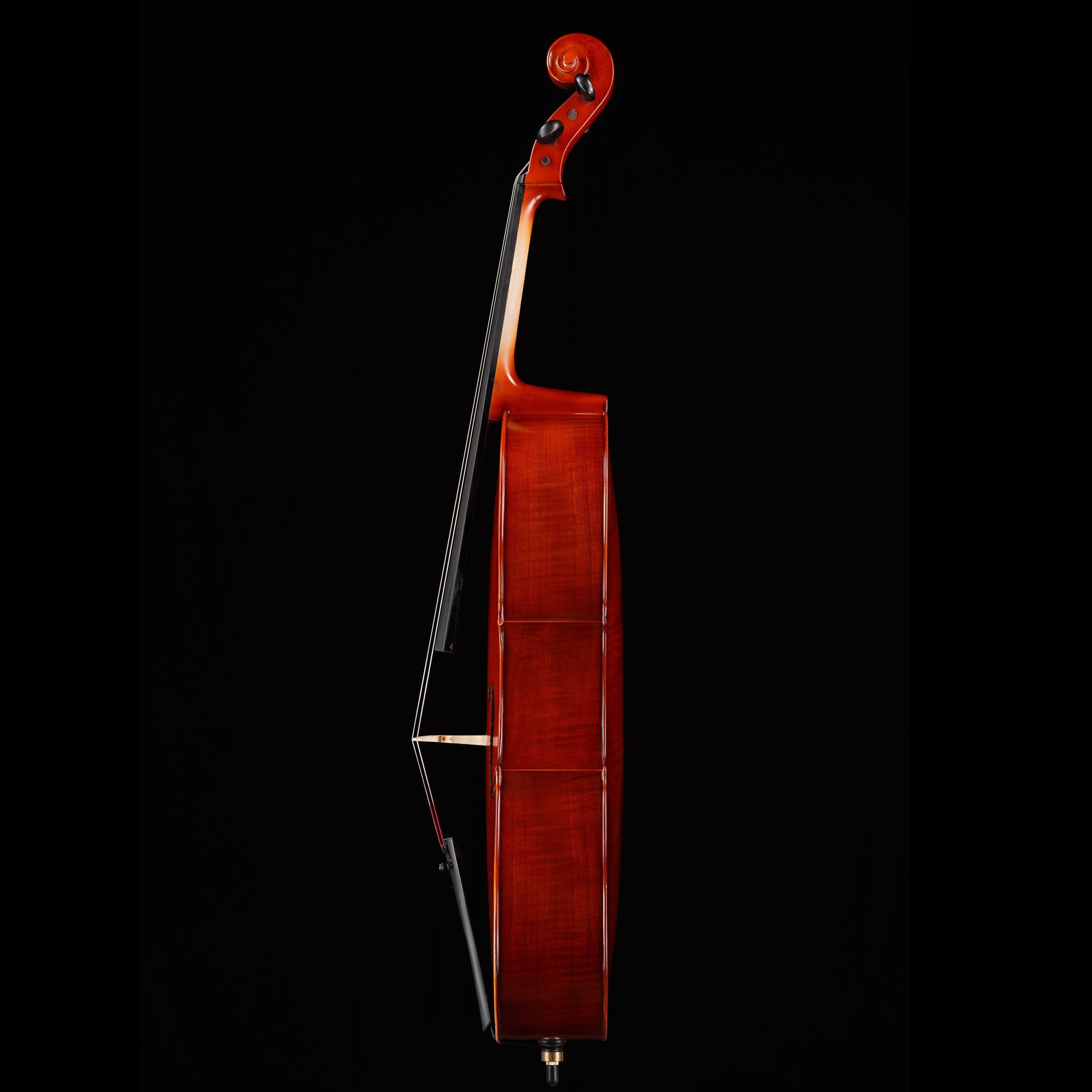 Prelude PC-30 Cello Outfit Strings, Bows & More
