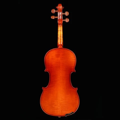 Primo Prelude PN-30 Violin Outfit Strings, Bows & More