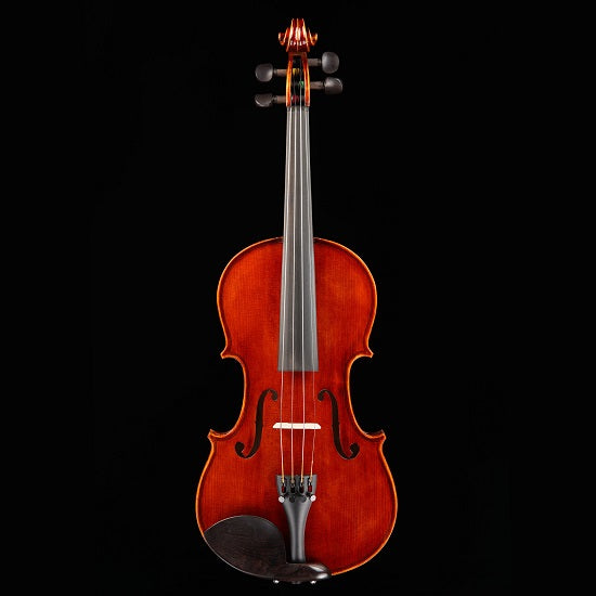 Primo Prelude PN-35 Violin Outfit Strings, Bows & More