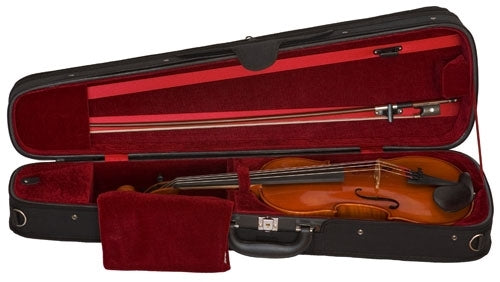 Samuel Eastman 100 Violin Outfit (dart shaped case)