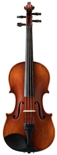 Samuel Eastman 105 Violin Outfit, 4/4 (dart shape case) Strings, Bows & More