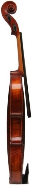 Samuel Eastman 105 Violin Outfit, 4/4 (dart shape case) Strings, Bows & More