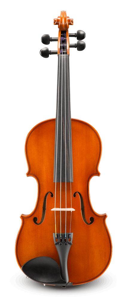 Samuel Eastman 80 Violin Outfit (dart shape case) Strings, Bows & More