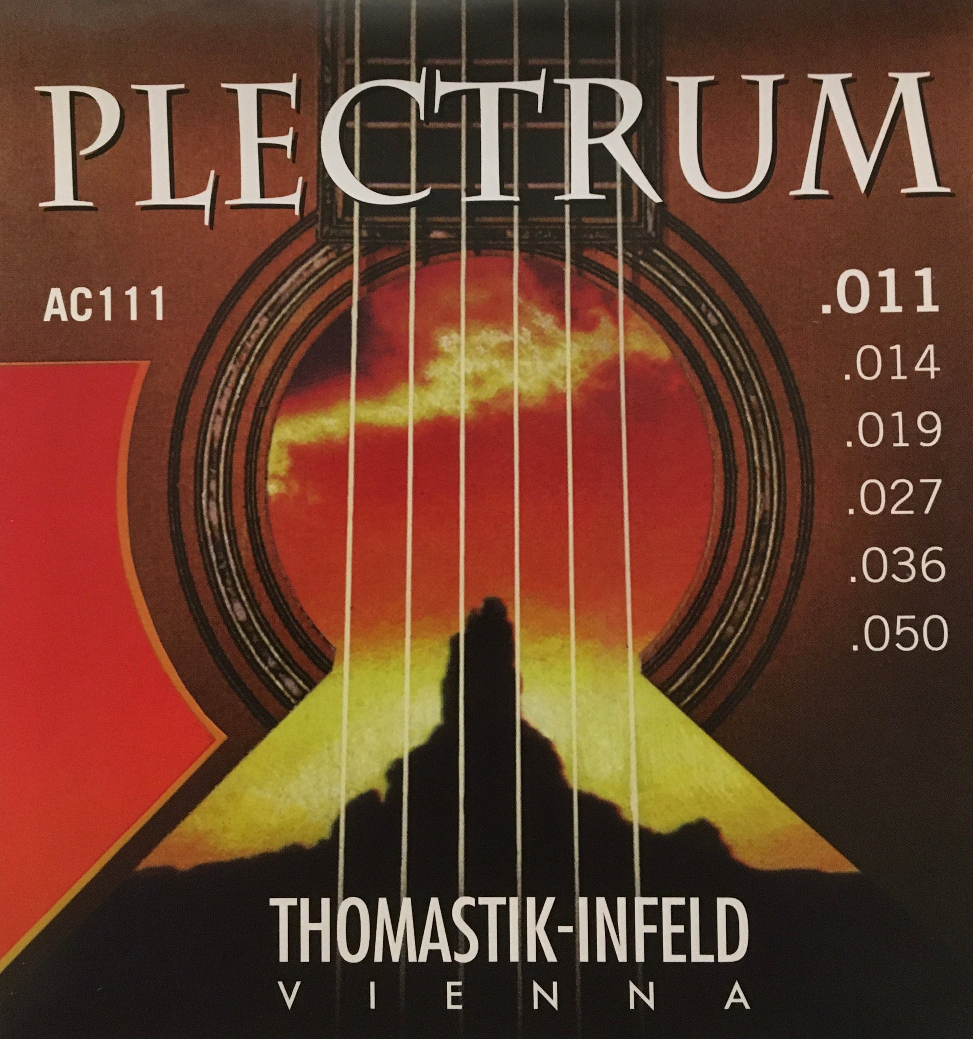 Thomastik-Infeld Plectrum Acoustic Guitar 6 String Set Strings, Bows & More