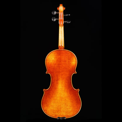Vincenzo Bellini VB-102 Amber Violin, 4/4 Strings, Bows & More