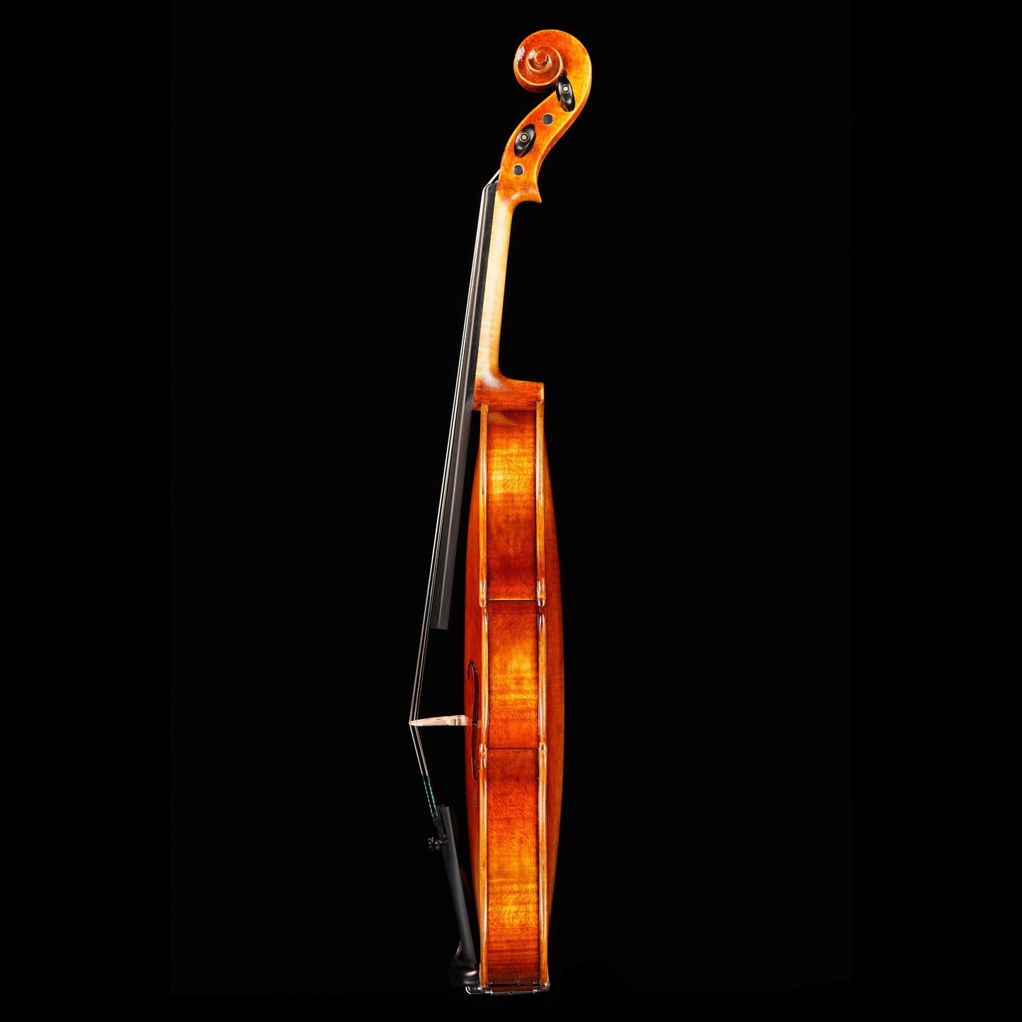 Vincenzo Bellini VB-102 Amber Violin Outfit, 4/4 Strings, Bows & More