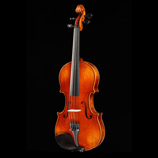 Vincenzo Bellini VB-102 Amber Violin Outfit, 4/4 Strings, Bows & More