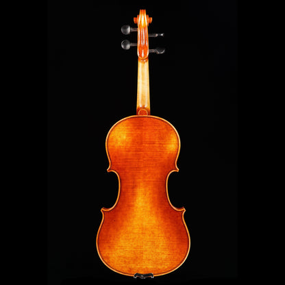 Vincenzo Bellini VB-102 Amber Violin Outfit, 4/4 Strings, Bows & More