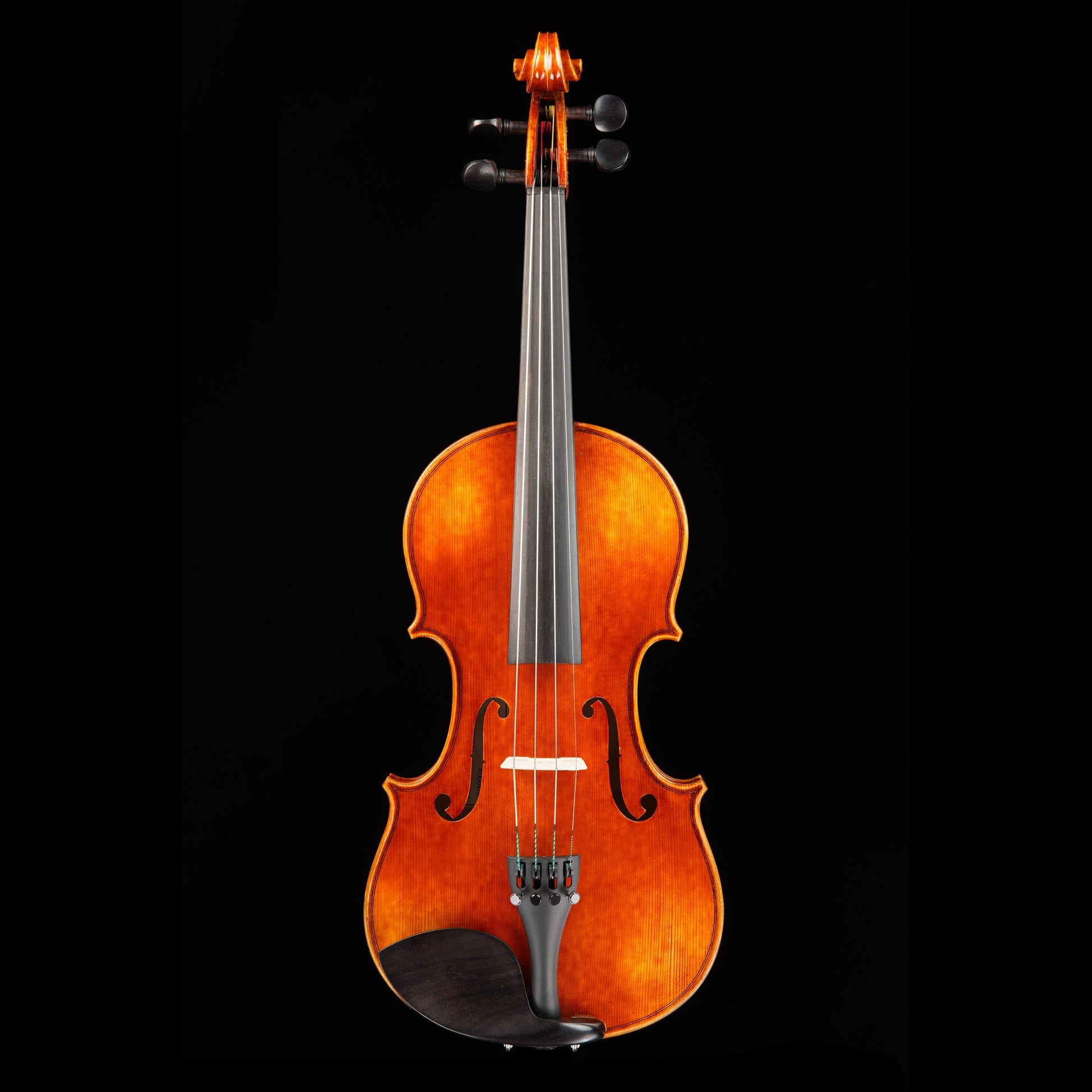 Vincenzo Bellini VB-102 Amber Violin Outfit, 4/4 Strings, Bows & More