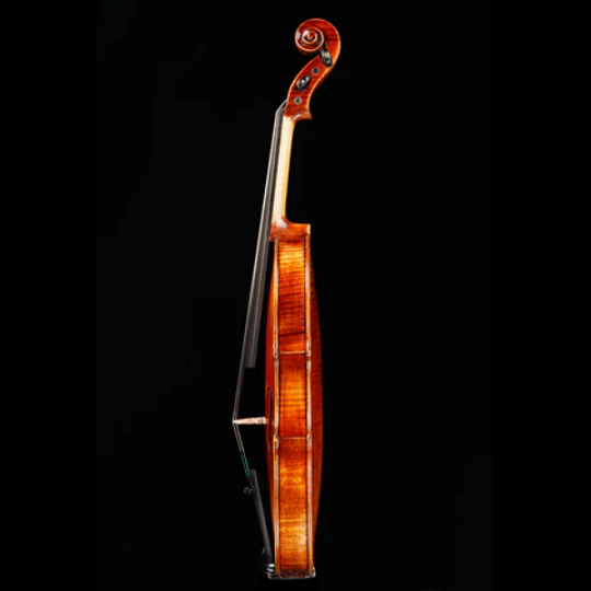 Vincenzo Bellini VB-103 Violin Strings, Bows & More