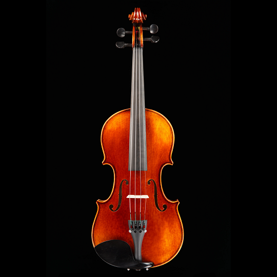 Vincenzo Bellini VB-103 Violin Strings, Bows & More