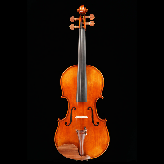 Vincenzo Bellini VB-104 Violin, 4/4 Strings, Bows & More