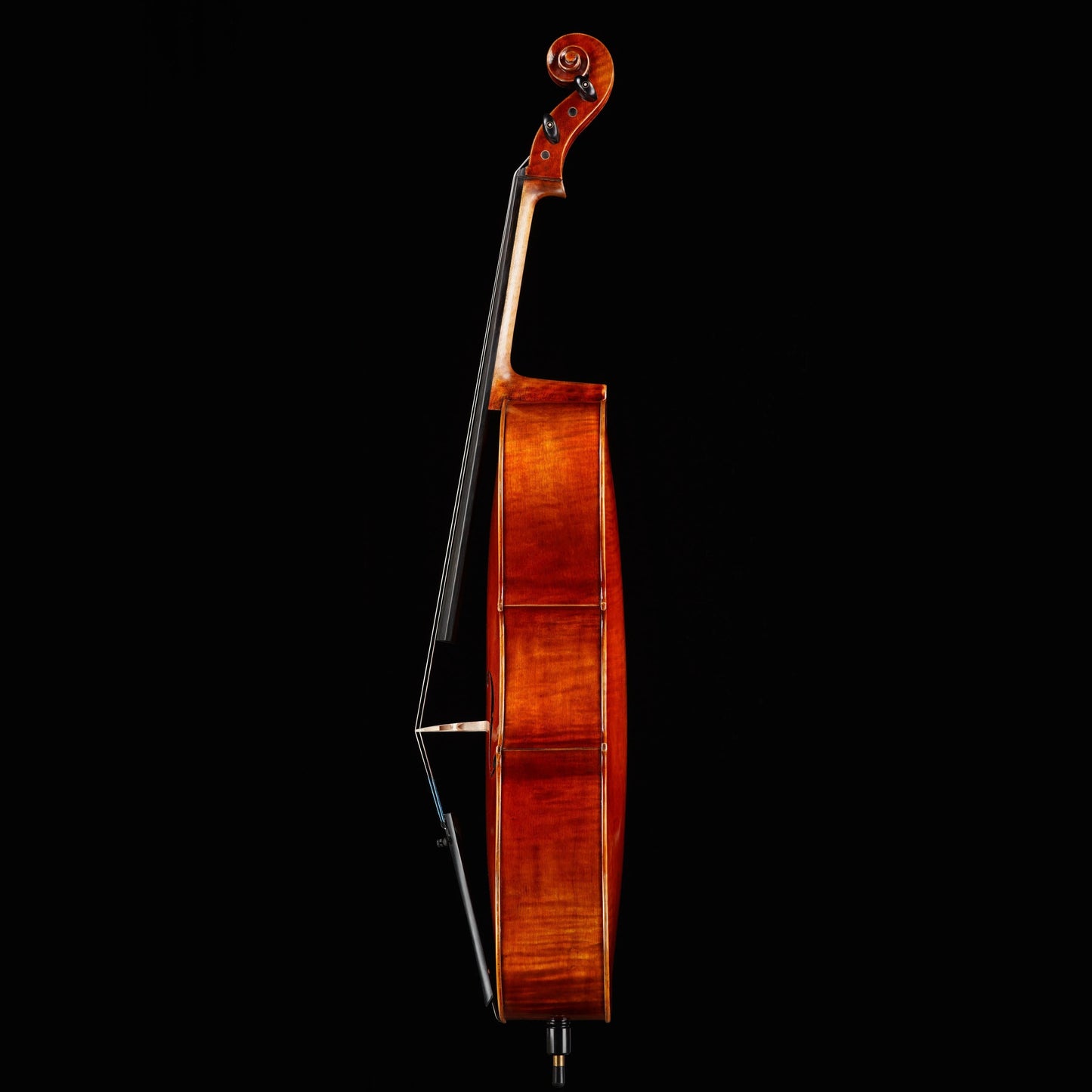 Vincenzo Bellini VB-301 Cello Strings, Bows & More