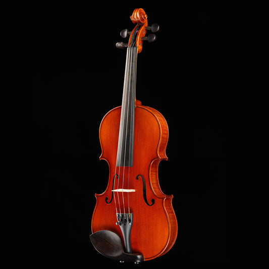 Violin with ebony fitting on a black background