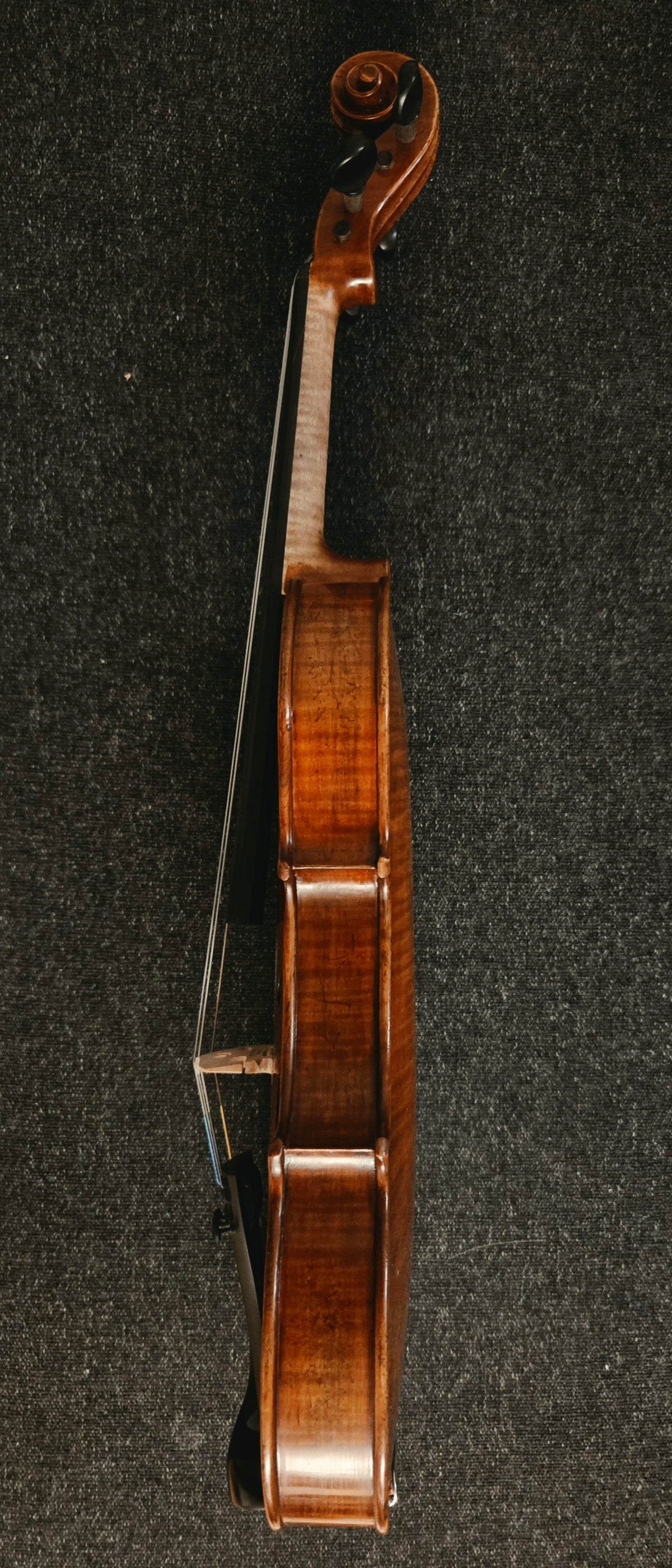 Side view of the violin on a grey background