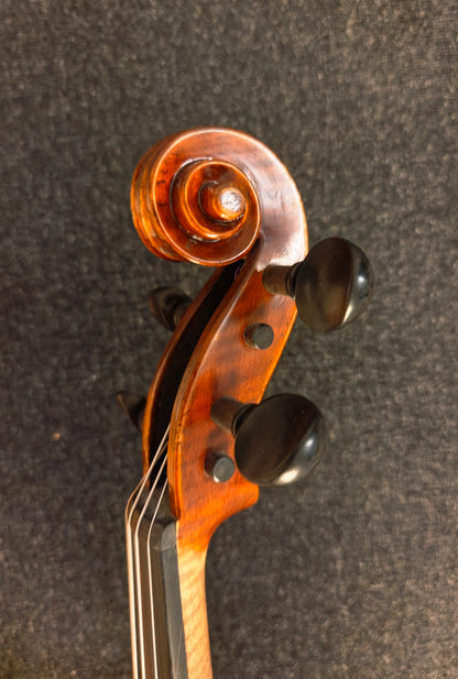 Scroll of the violin with ebony pegs