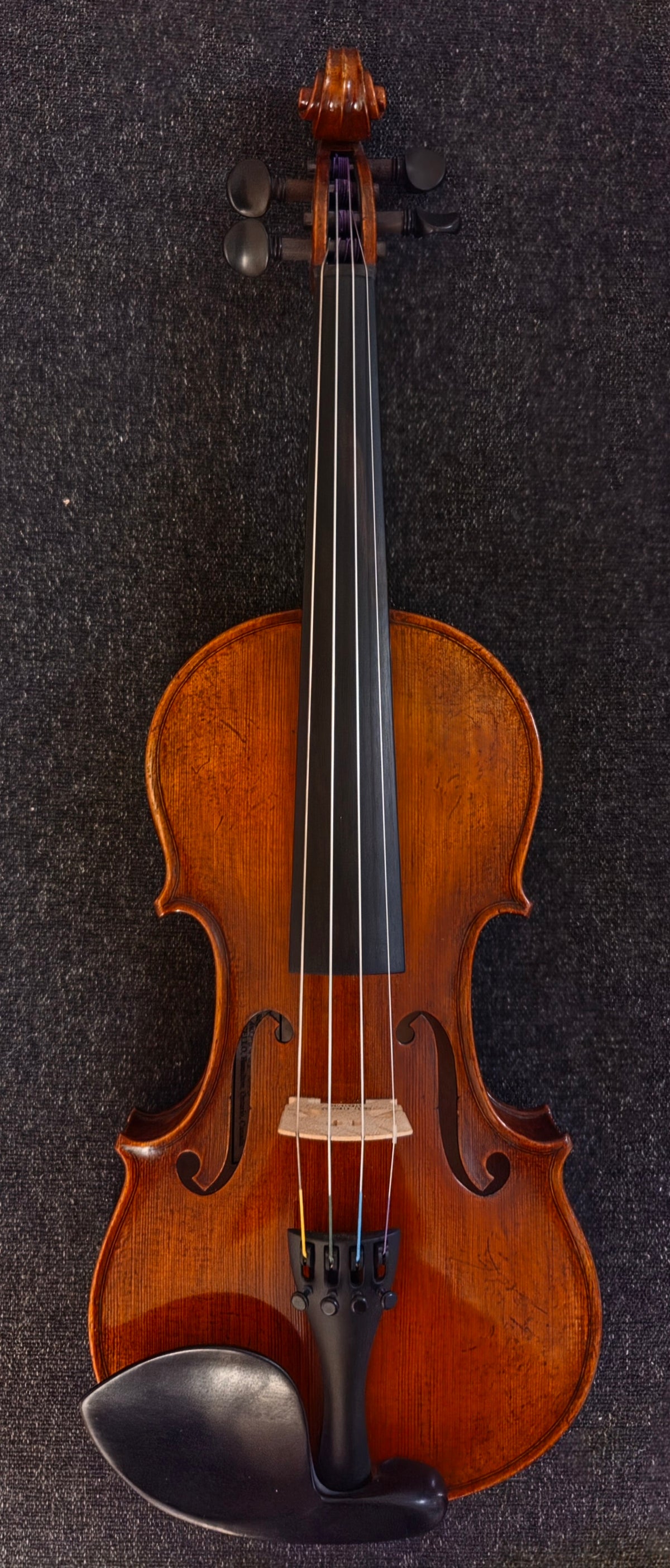 Dark brown violin on a grey background