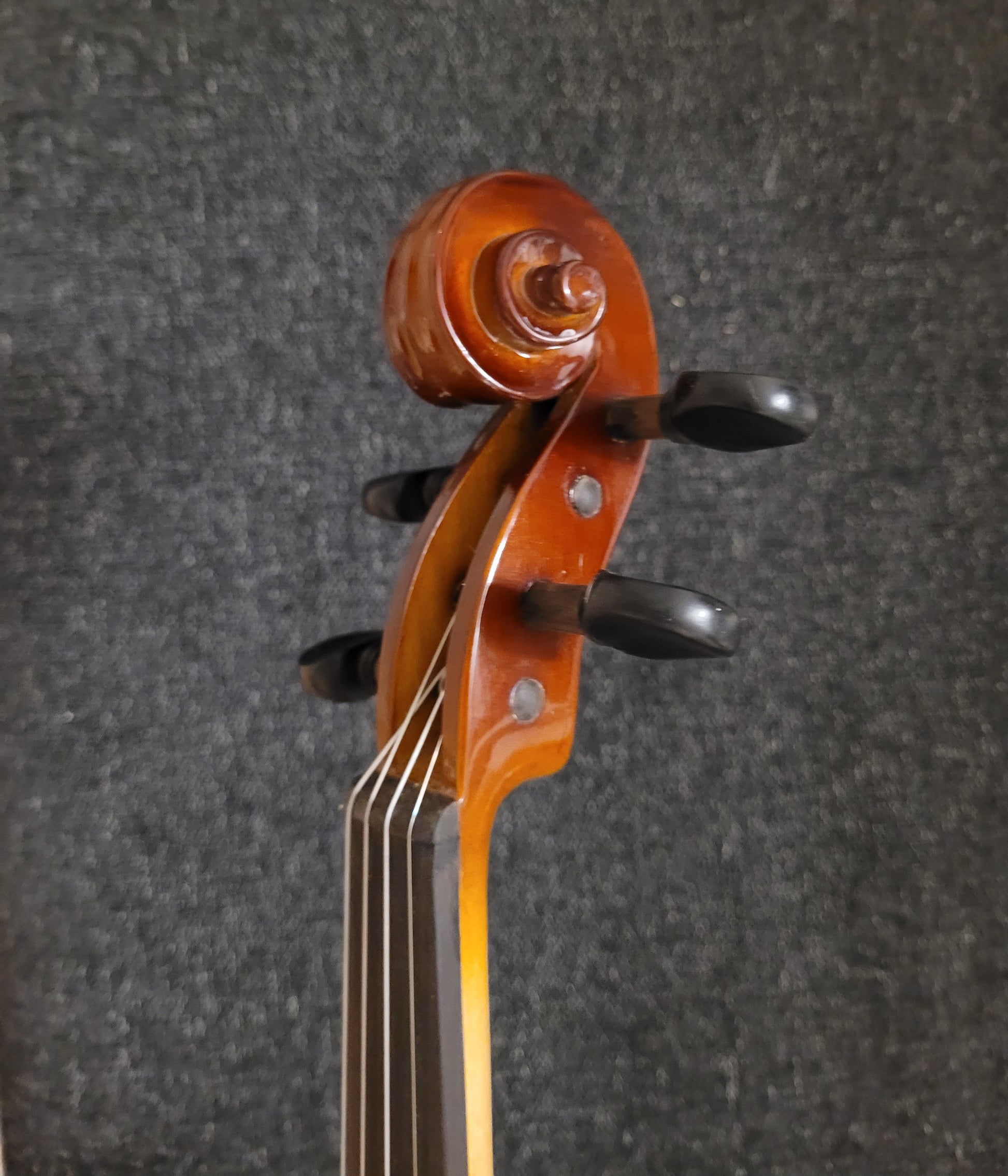 Close-up of a violin's fiddle head with a dark gray background