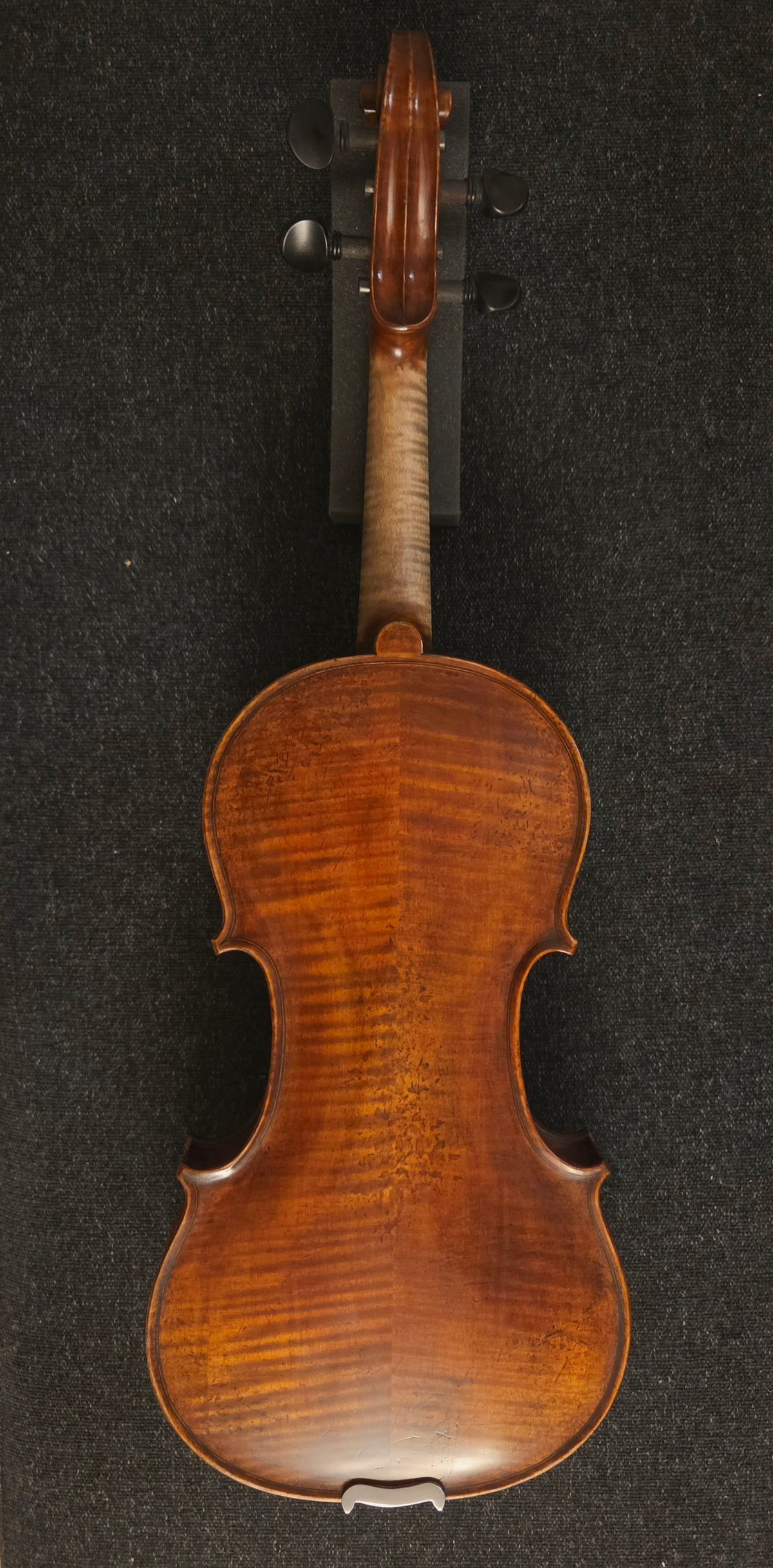 Back of the violin on a grey background