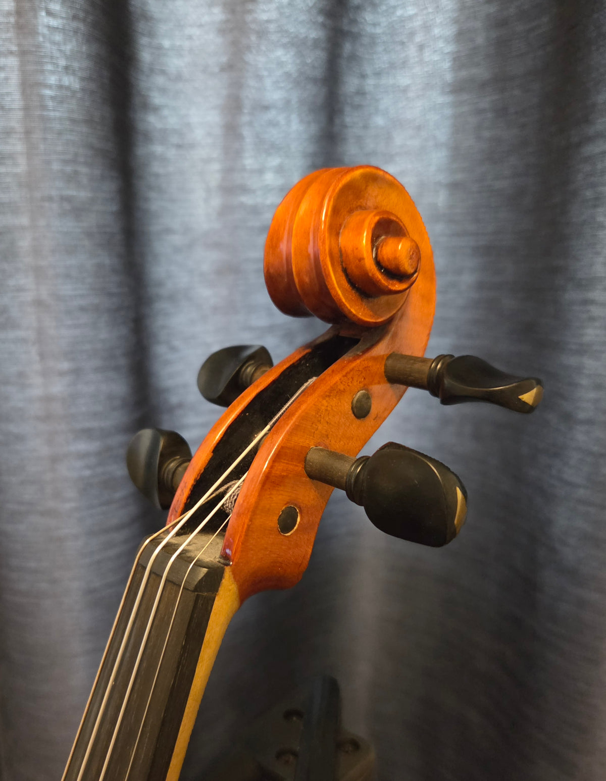Head of a violin.