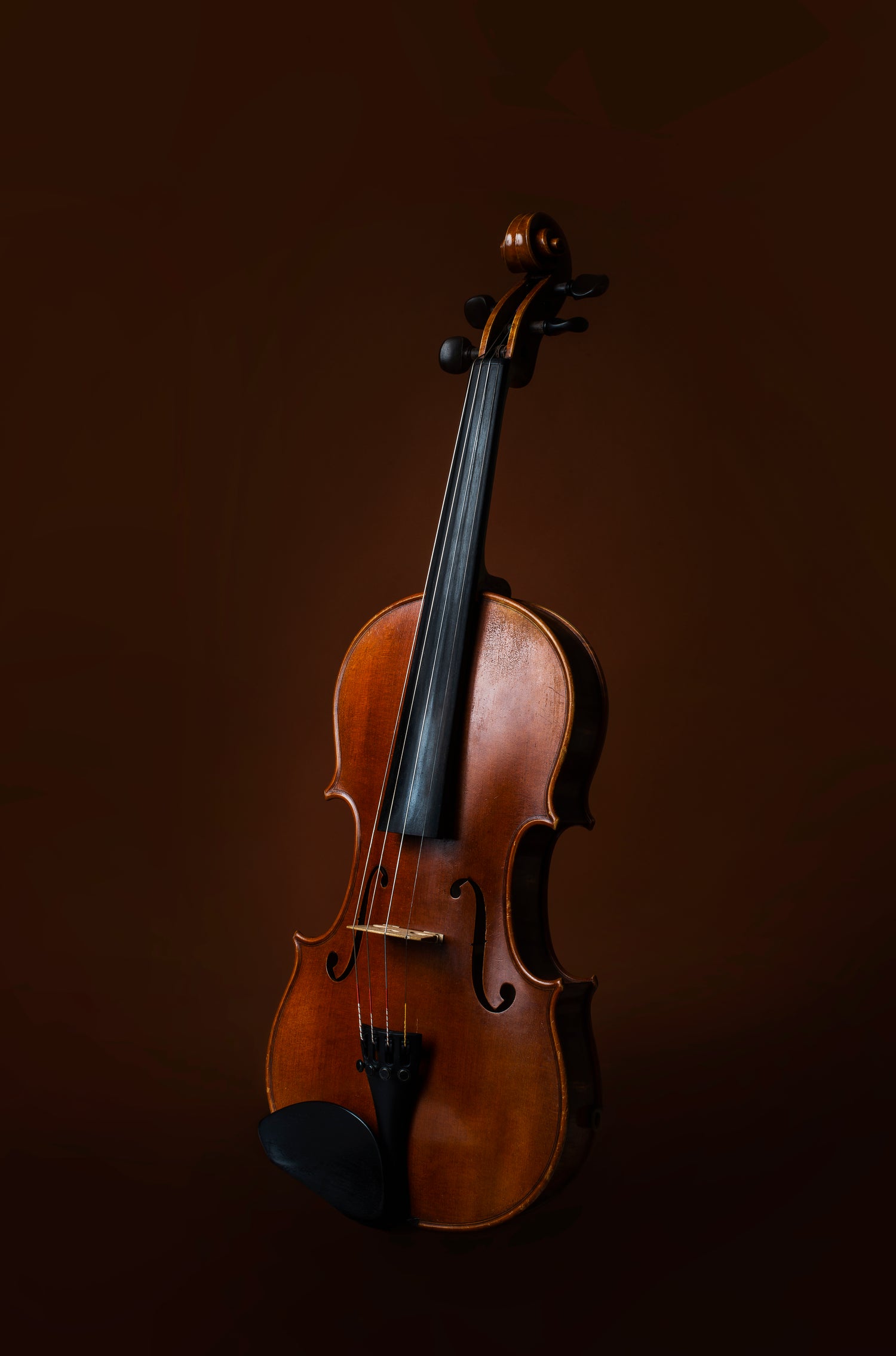 Your Trusted Violin Store Toronto - Strings, Bows and More – Strings ...