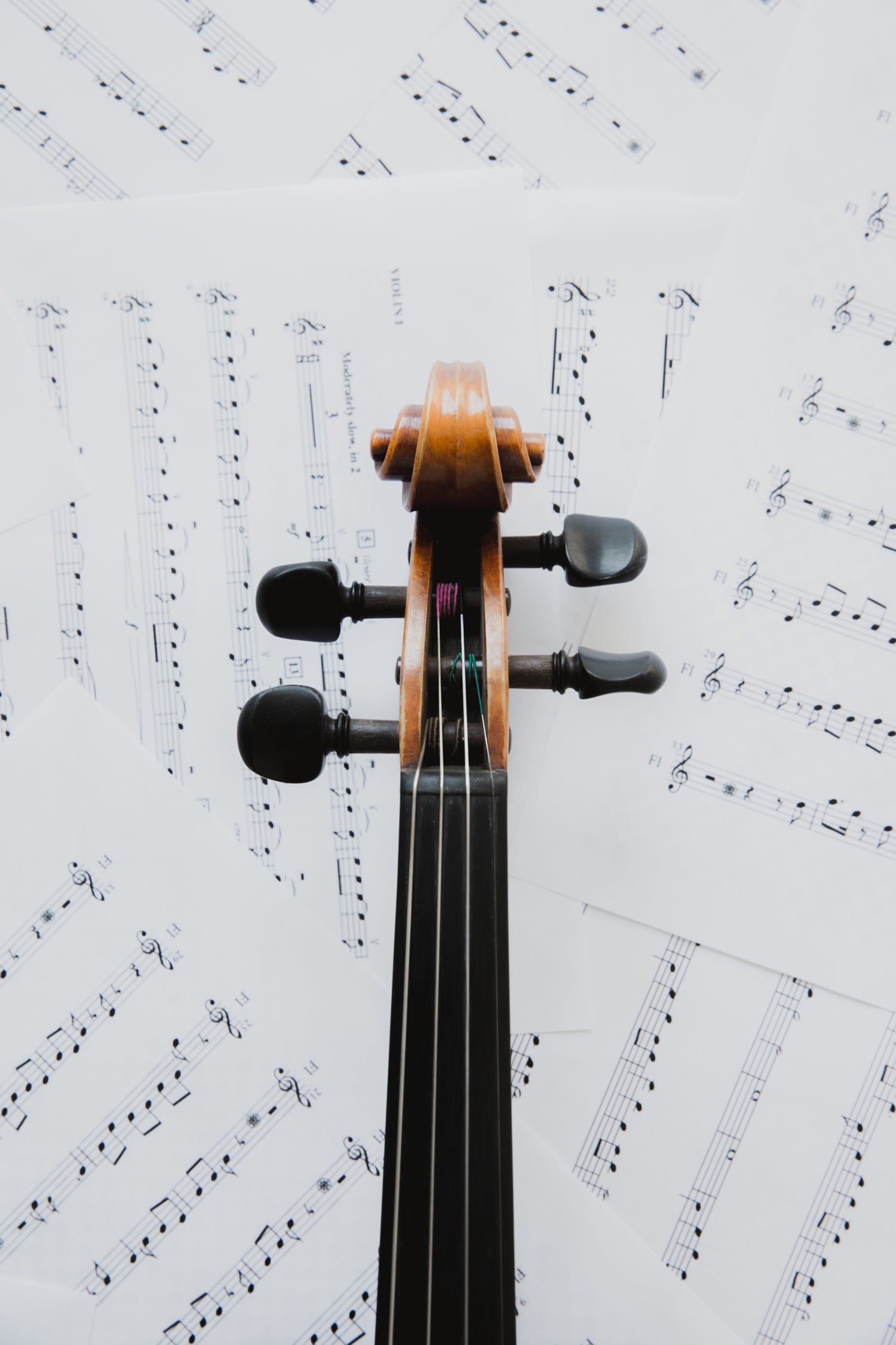 Violin head on music sheets.