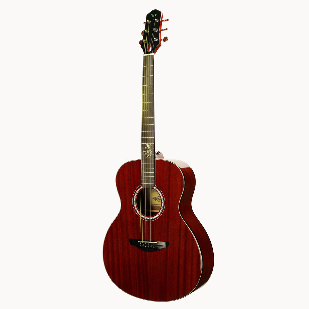 G20 Acoustic Guitar